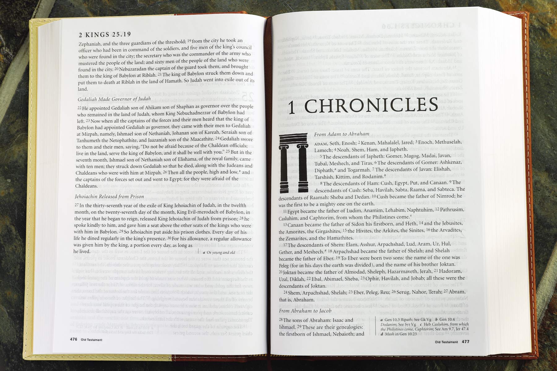 NRSV, Standard Bible with Apocrypha, Hardcover, Tan/Brown: The Bible for Everyone: Trusted, Accurate, Readable,Used