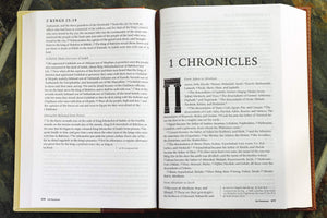 NRSV, Standard Bible with Apocrypha, Hardcover, Tan/Brown: The Bible for Everyone: Trusted, Accurate, Readable,Used