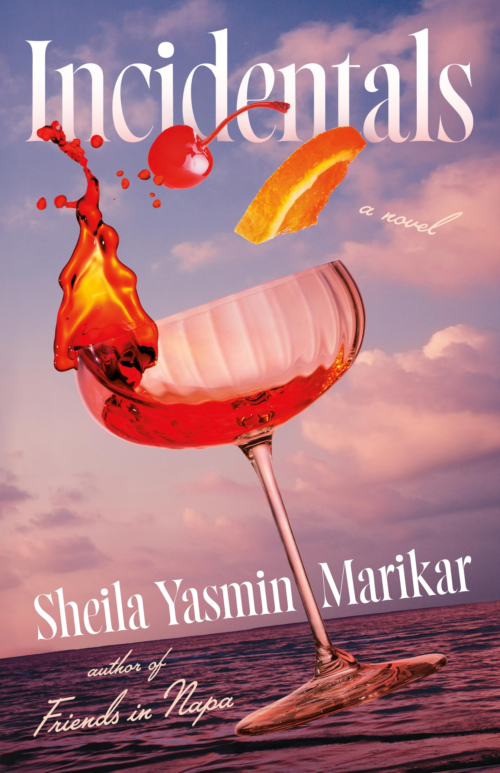 Incidentals: A Novel