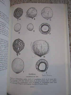 World guide to tropical drift seeds and fruits,Used
