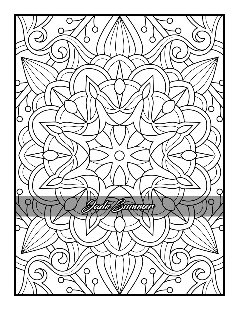 100 Amazing Patterns: An Adult Coloring Book with Fun, Easy, and Relaxing Coloring Pages,New