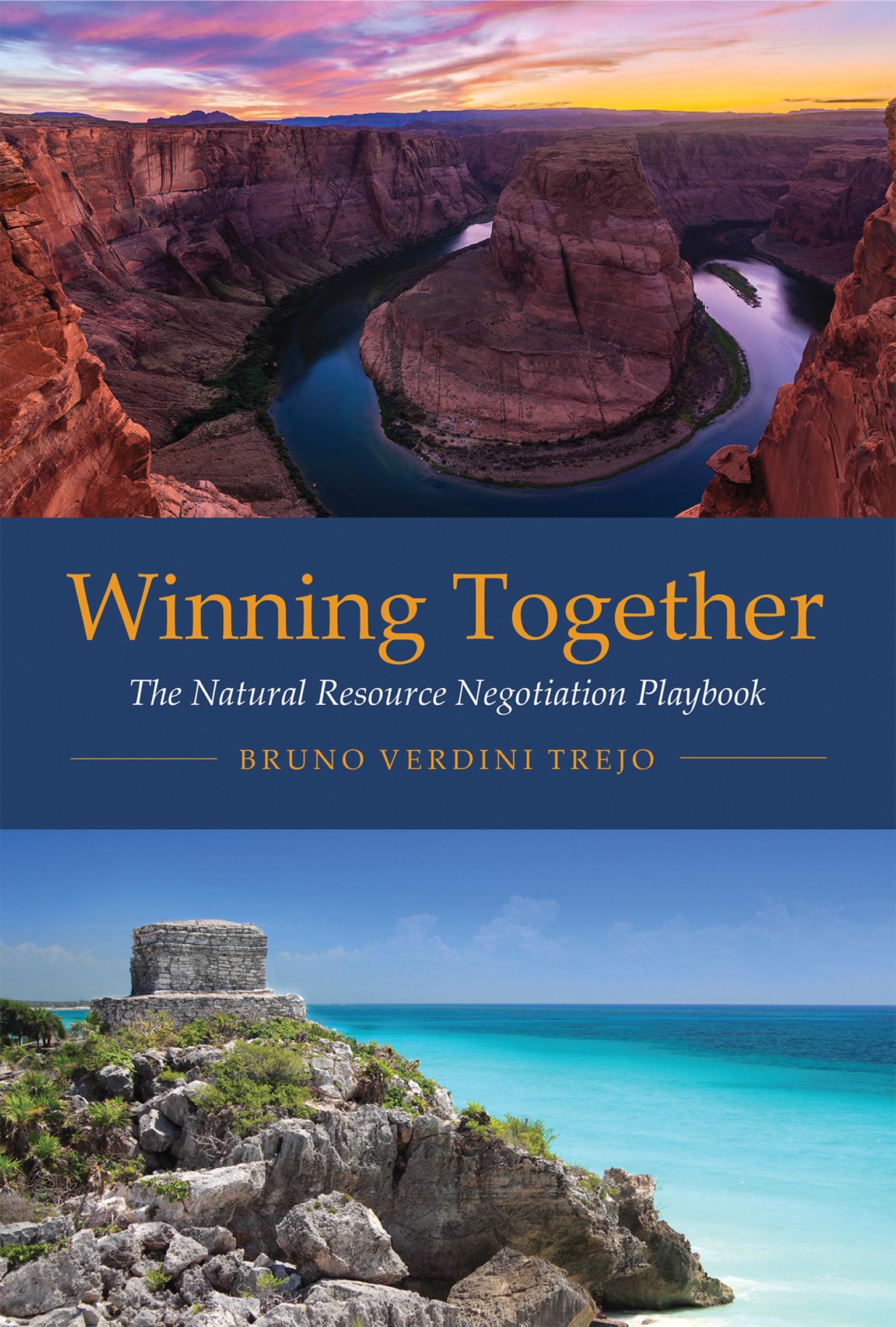 Winning Together: The Natural Resource Negotiation Playbook (Mit Press),Used