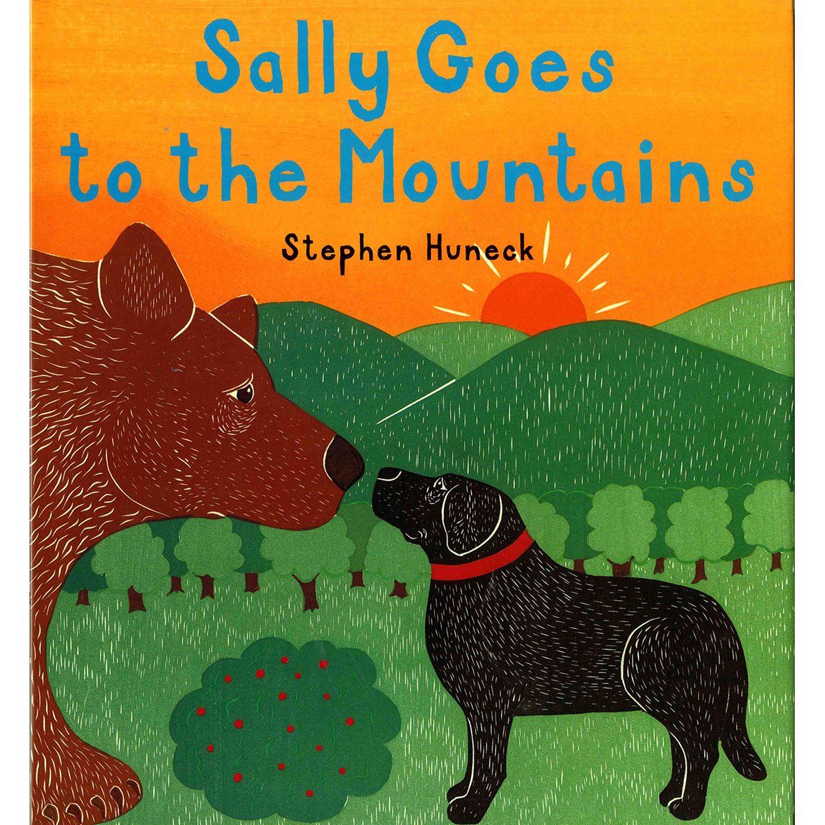 Sally Goes to the Mountains,Used