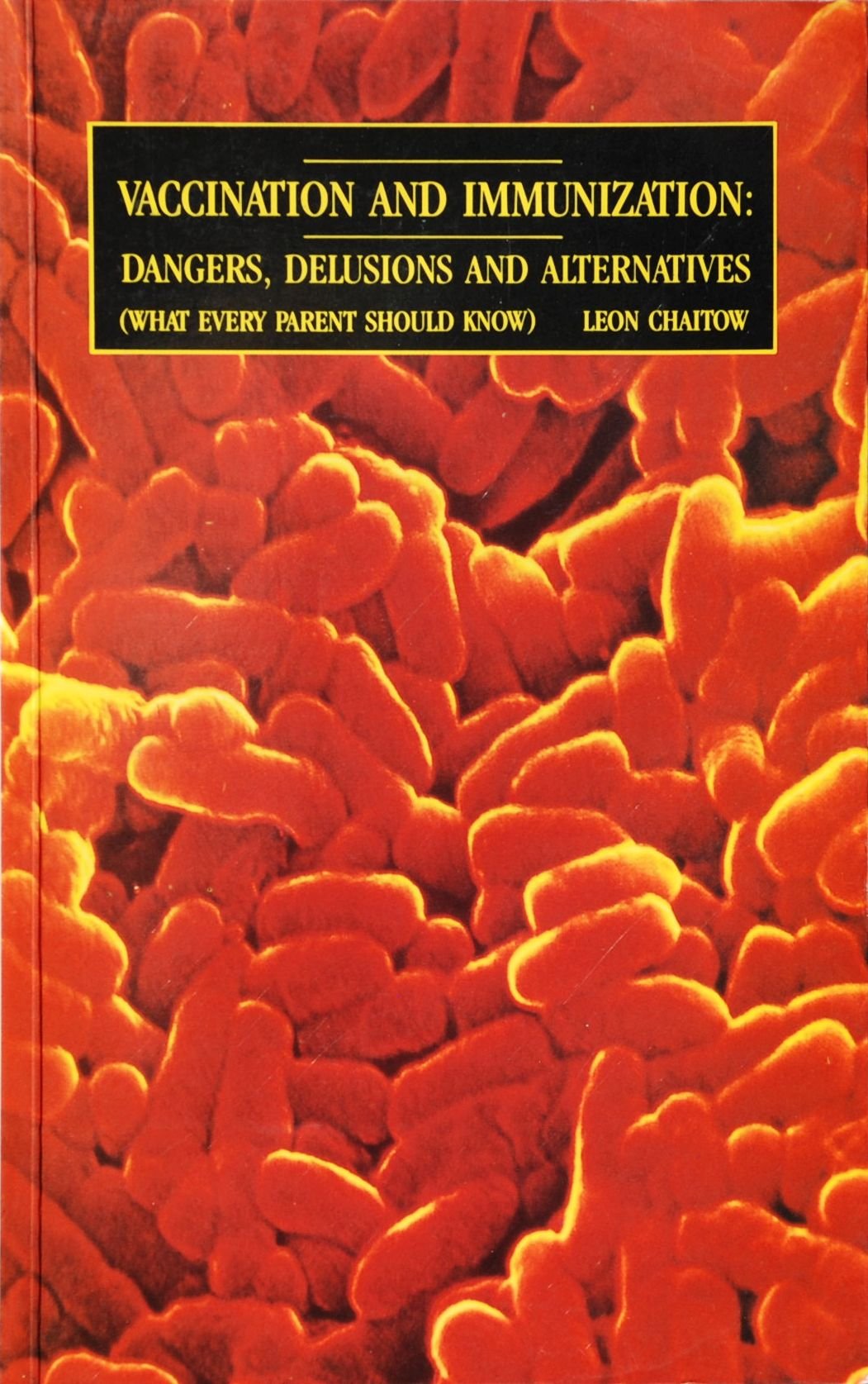 Vaccination And Immunization: Dangers, Delusions And Alternatives (What Every Parent Should Know)
