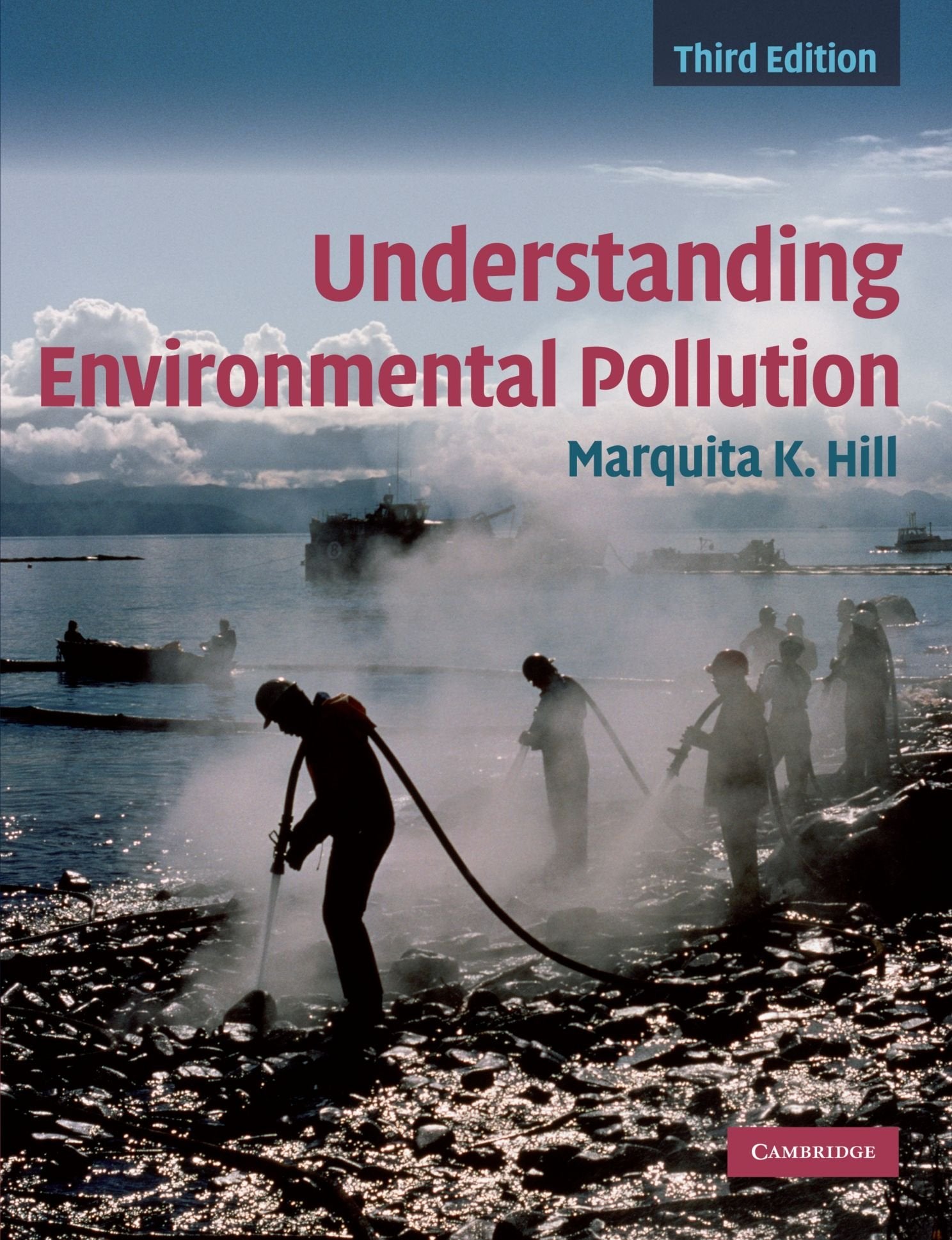 Understanding Environmental Pollution,Used