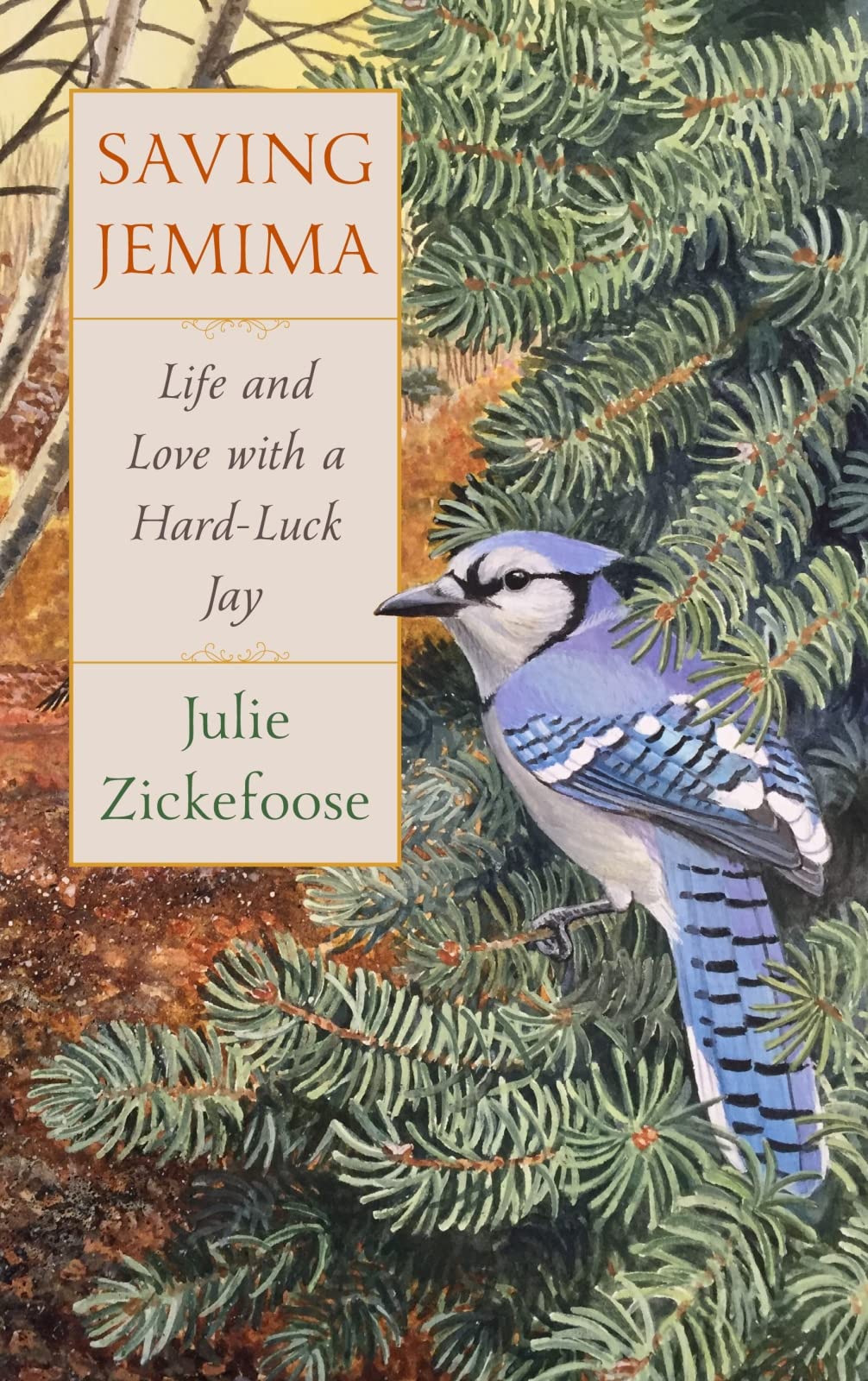 Saving Jemima: Life and Love with a HardLuck Jay
