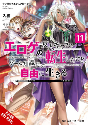 Magical Explorer, Vol. 11 (Light Novel): Reborn As A Side Character In A Fantasy Dating Sim (Volume 11) (Magical Explorer (Light