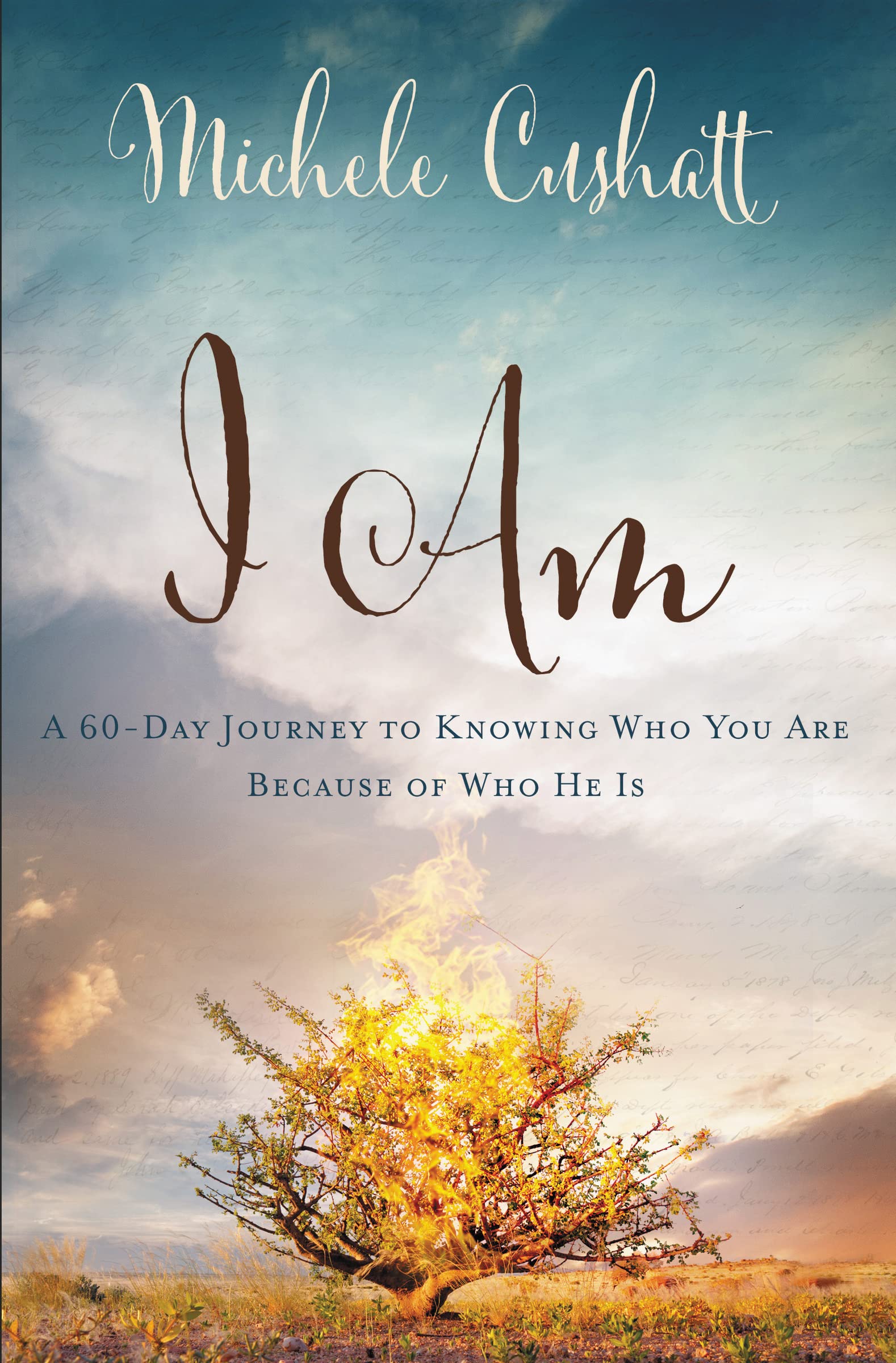 I Am: A 60Day Journey to Knowing Who You Are Because of Who He Is,Used