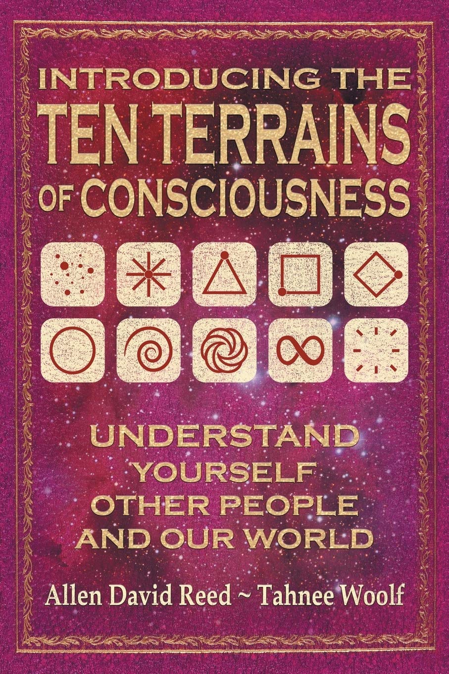 Introducing The Ten Terrains Of Consciousness: Understand Yourself, Other People, and Our World,Used