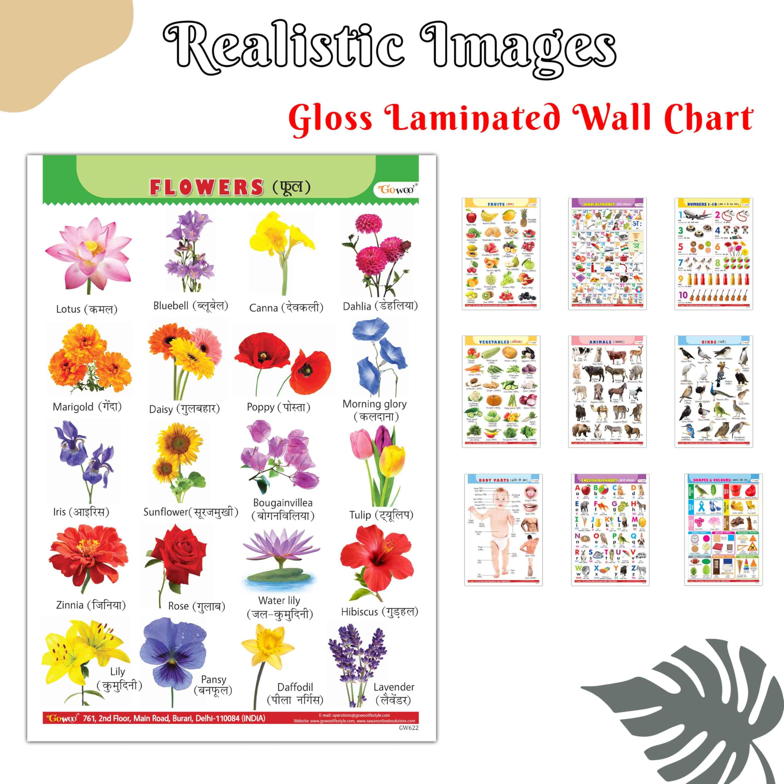 Colorful Educational Gloss Laminated English-Hindi Chart For Children:Alphabet, Fruits, Vegetables, Animals, Birds, Body Parts, Numbers, Hindi Varnmala, Shapes& Colours And Flowers |Combo Of 10 Charts