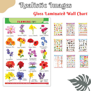 Colorful Educational Gloss Laminated English-Hindi Chart For Children:Alphabet, Fruits, Vegetables, Animals, Birds, Body Parts, Numbers, Hindi Varnmala, Shapes& Colours And Flowers |Combo Of 10 Charts