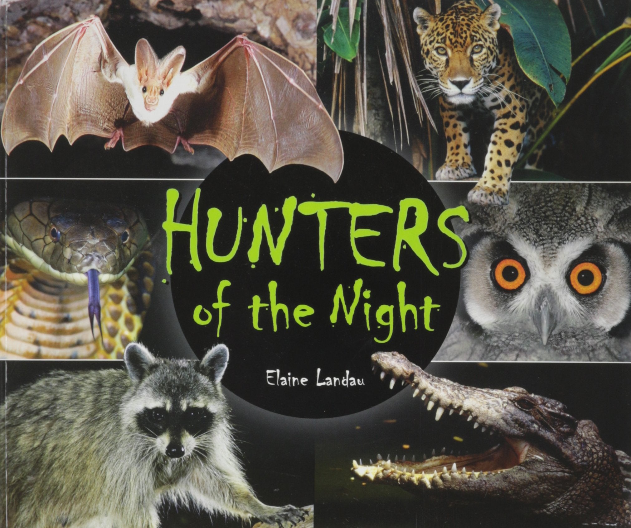 Hunters of the Night (Animals After Dark),Used