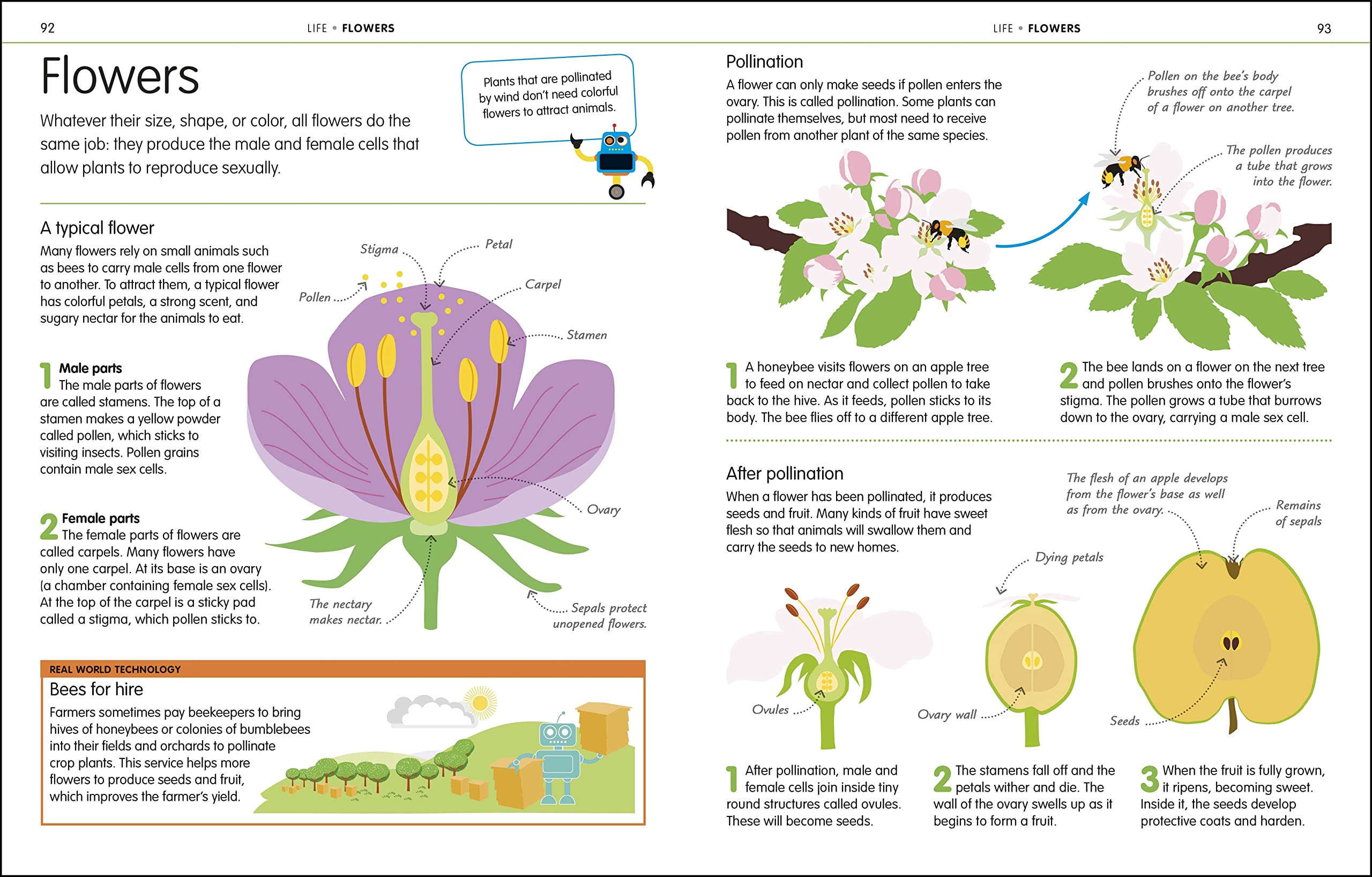 How to Be Good at Science, Technology, and Engineering (DK How to Be Good at),Used