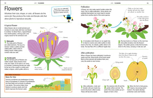 How to Be Good at Science, Technology, and Engineering (DK How to Be Good at),Used