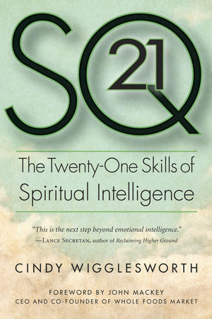 SQ21: The TwentyOne Skills of Spiritual Intelligence,Used
