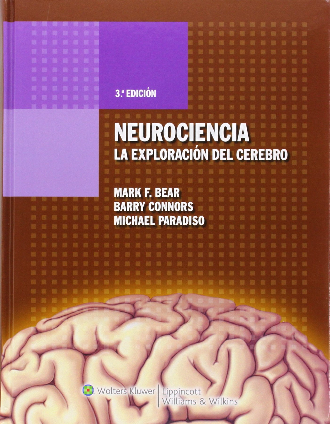 Neurociencia: explorando el cerebro (Spanish Edition),Used