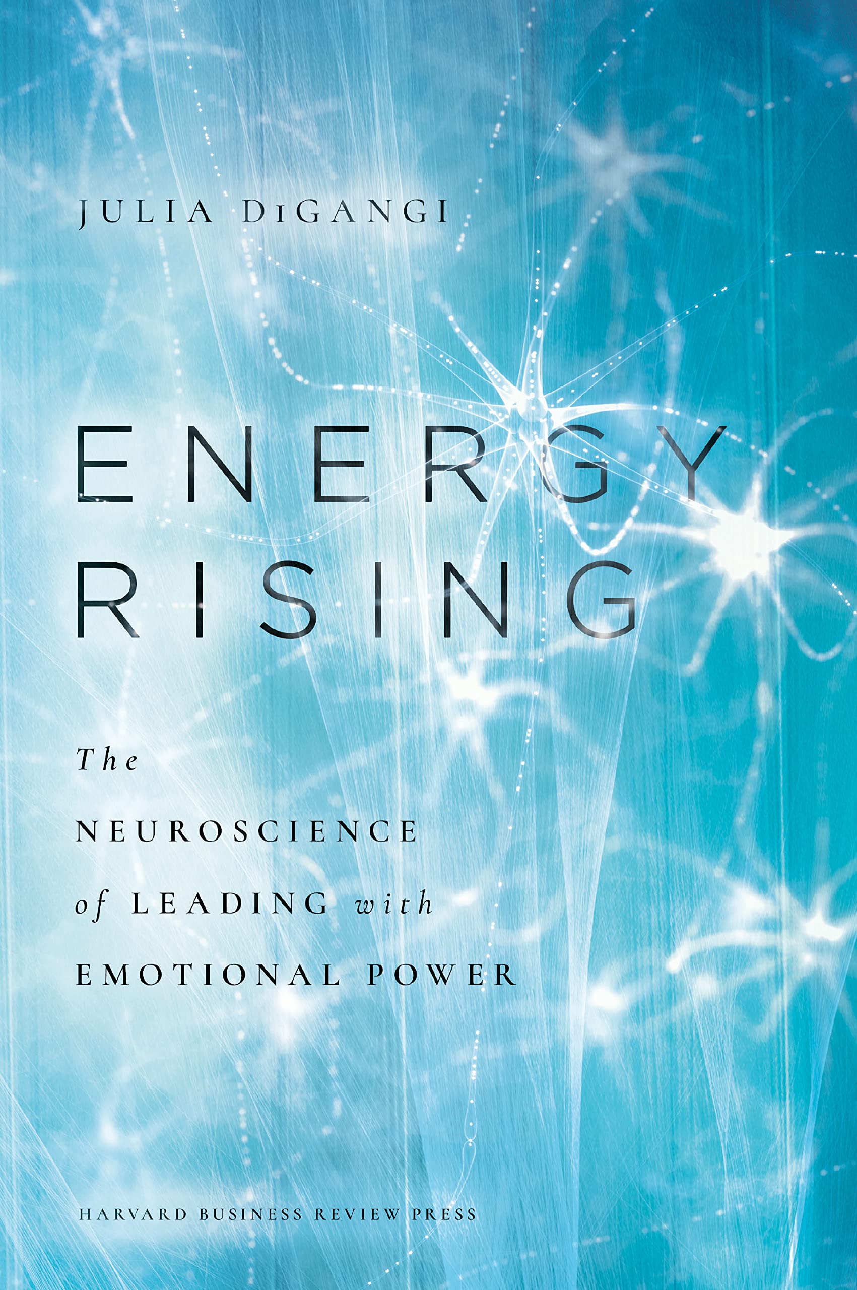 Energy Rising: The Neuroscience Of Leading With Emotional Power,Used