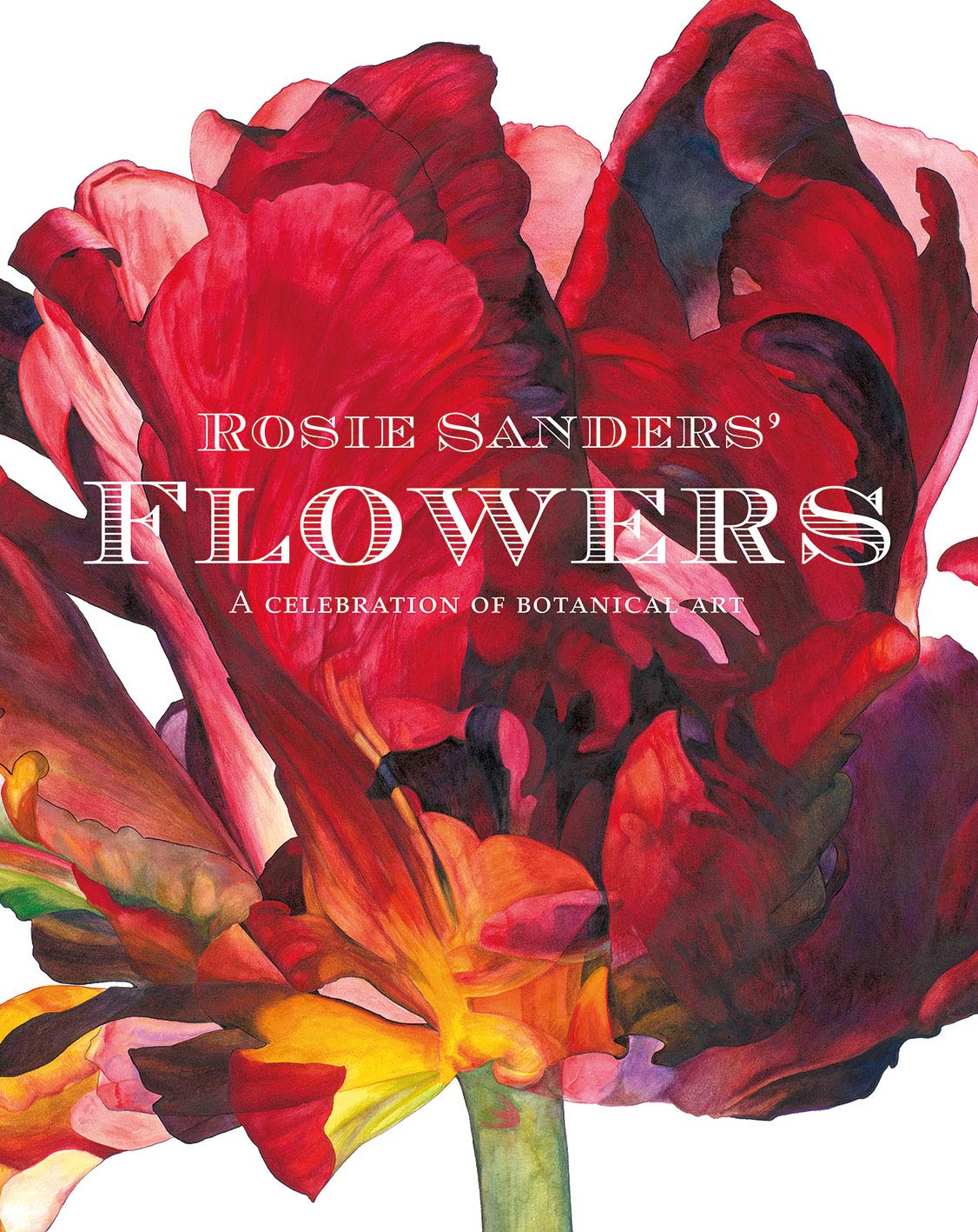 Rosie Sanders' Flowers: A Celebration of Botanical Art,Used