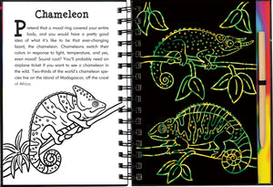 Scratch & Sketch Rain Forest (Trace Along),Used