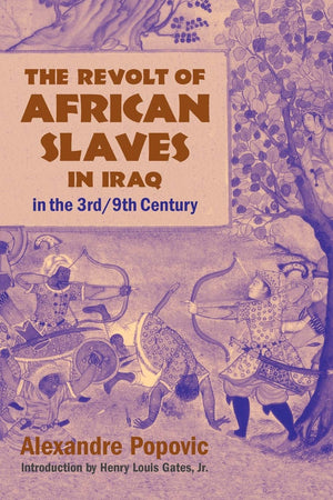 The Revolt of African Slaves in Iraq in the 3rd / 9th Century (Princeton Series on the Middle East),Used