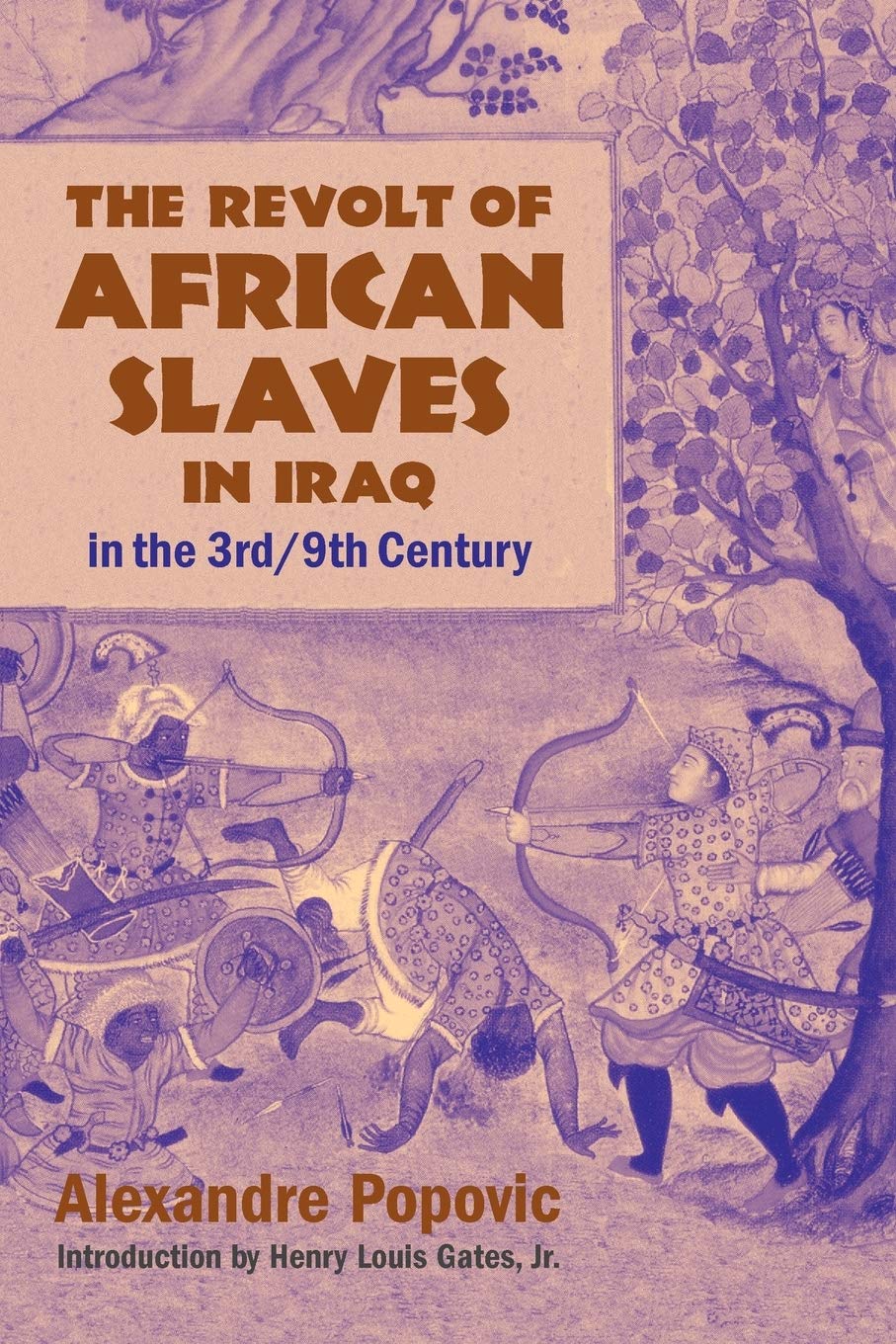 The Revolt of African Slaves in Iraq in the 3rd / 9th Century (Princeton Series on the Middle East),Used