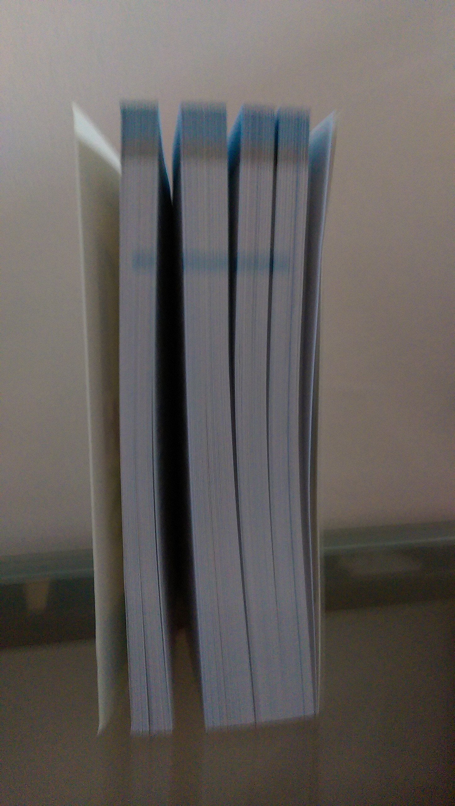 601 Spanish Verbs (601 Verbs),Used