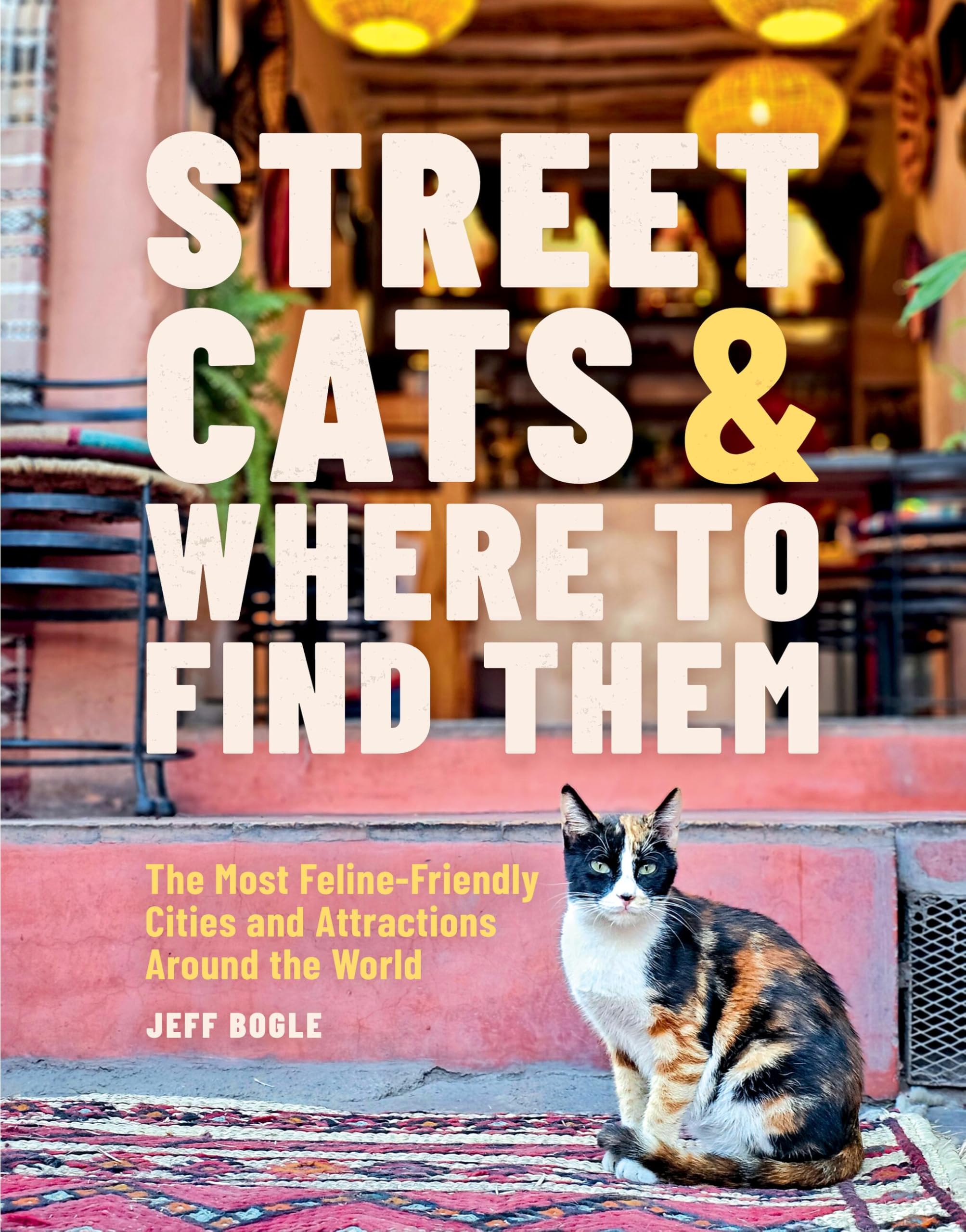 Street Cats & Where To Find Them
