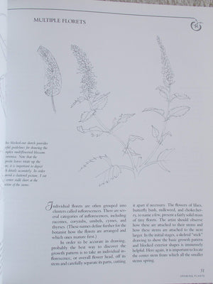 Botanical Illustration in Watercolor,Used