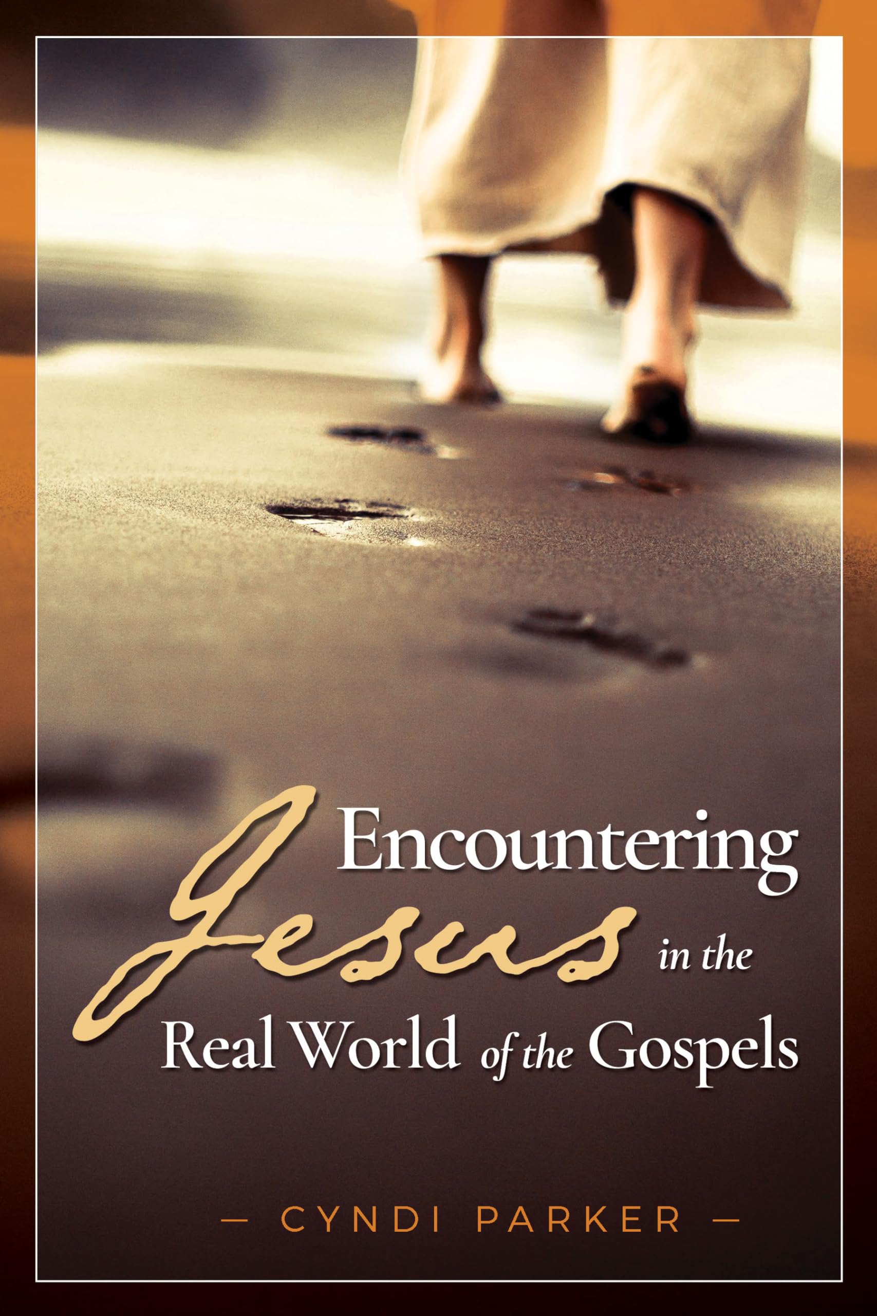 Encountering Jesus in the Real World of the Gospels,Used