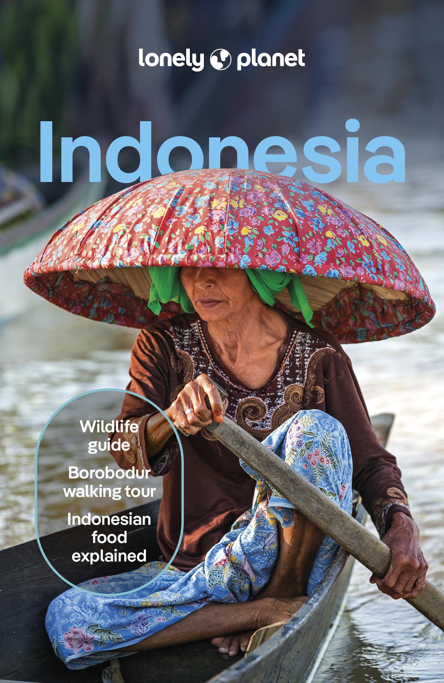 Lonely Planet Indonesia (Travel Guide),New
