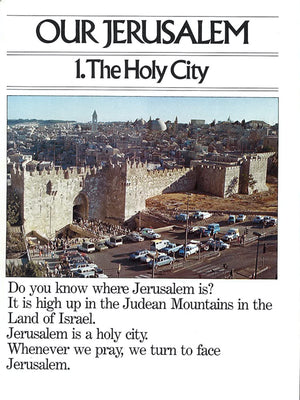 Our Jerusalem (European University Institute  Series A, 4),New