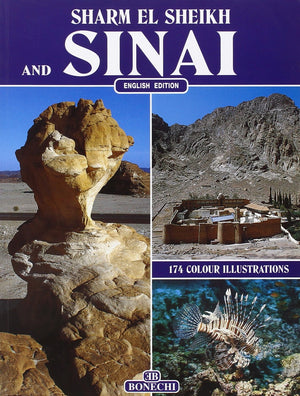 The Peninsula Of Sinai,Used
