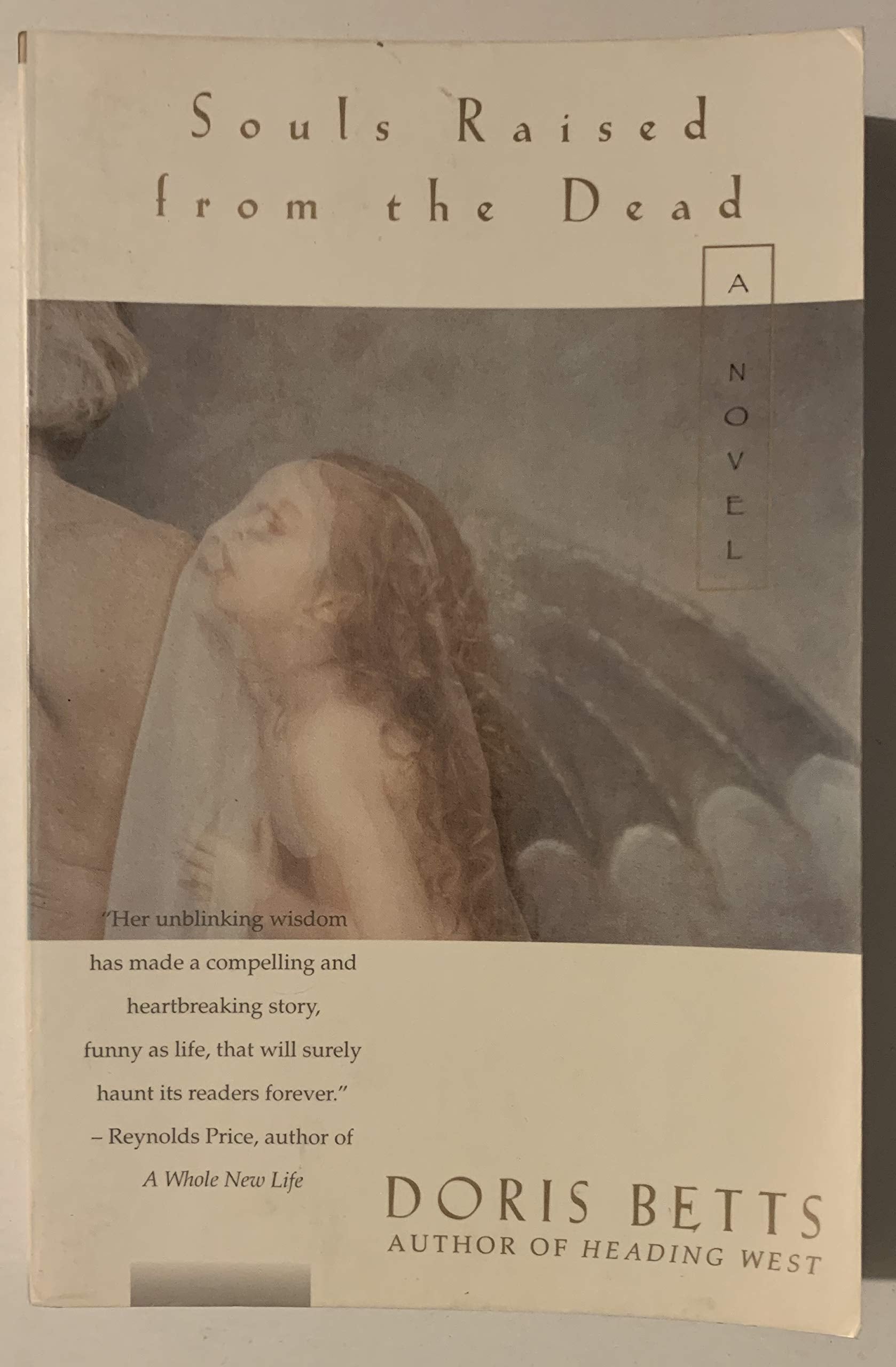 Souls Raised from the Dead: A Novel,Used