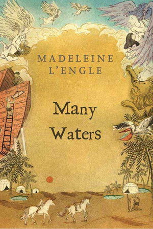 Many Waters (A Wrinkle In Time Quintet, 3)-used