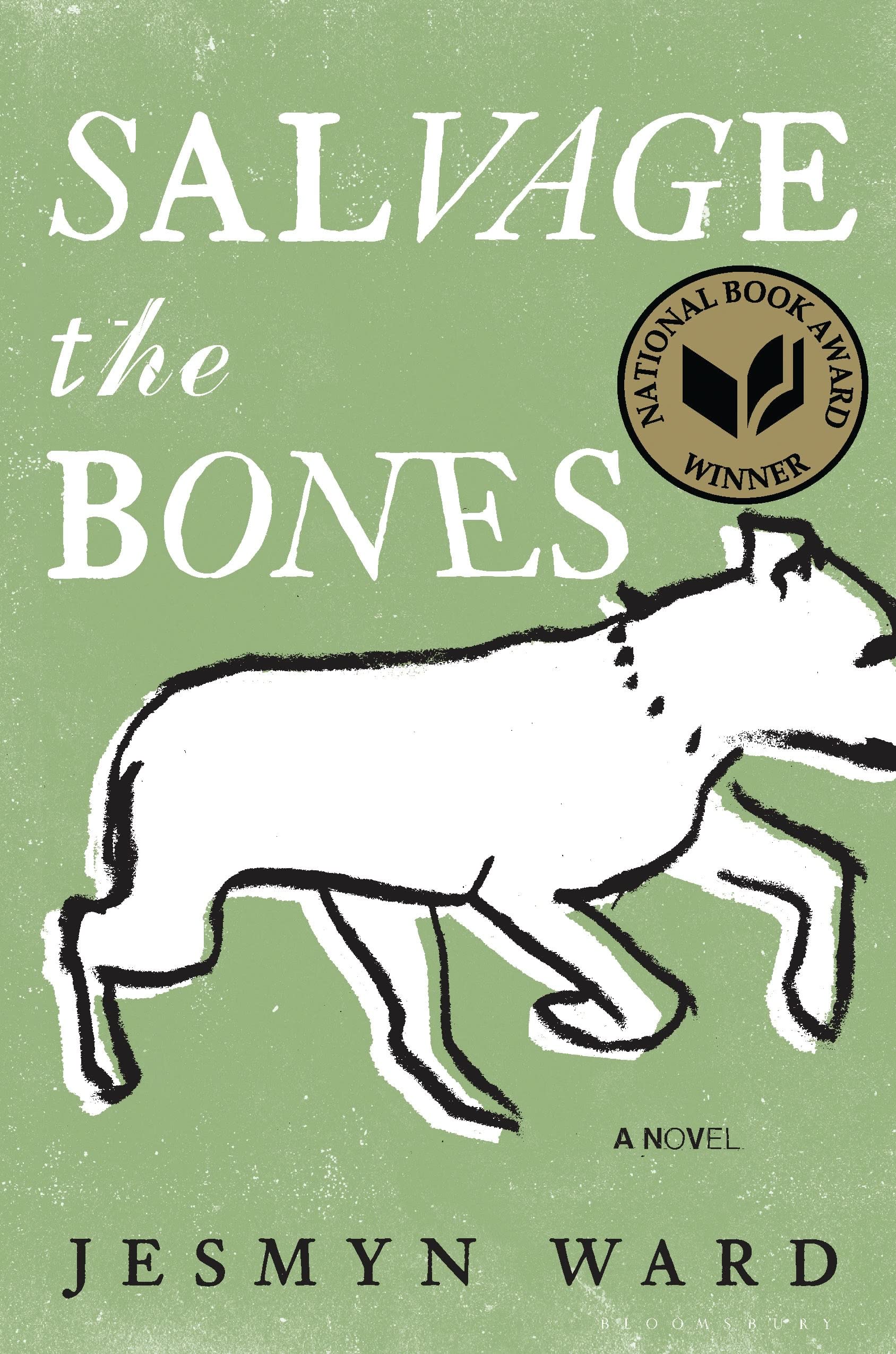 Salvage The Bones: A Novel