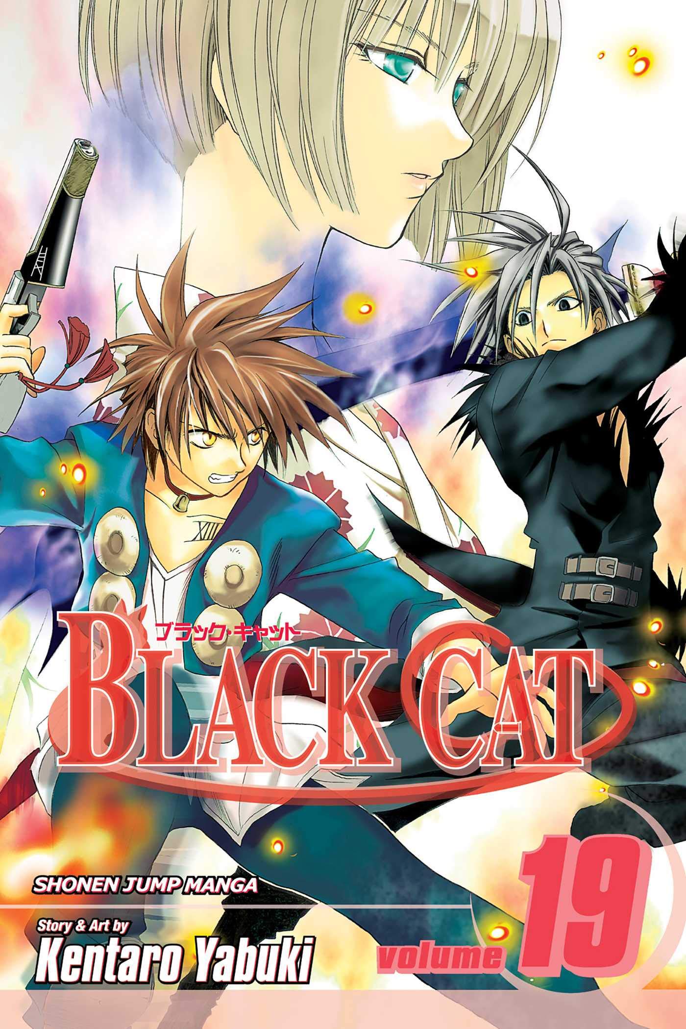 Black Cat, Vol. 19