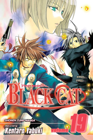 Black Cat, Vol. 19