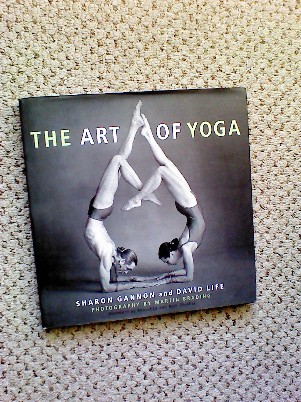 The Art of Yoga,Used