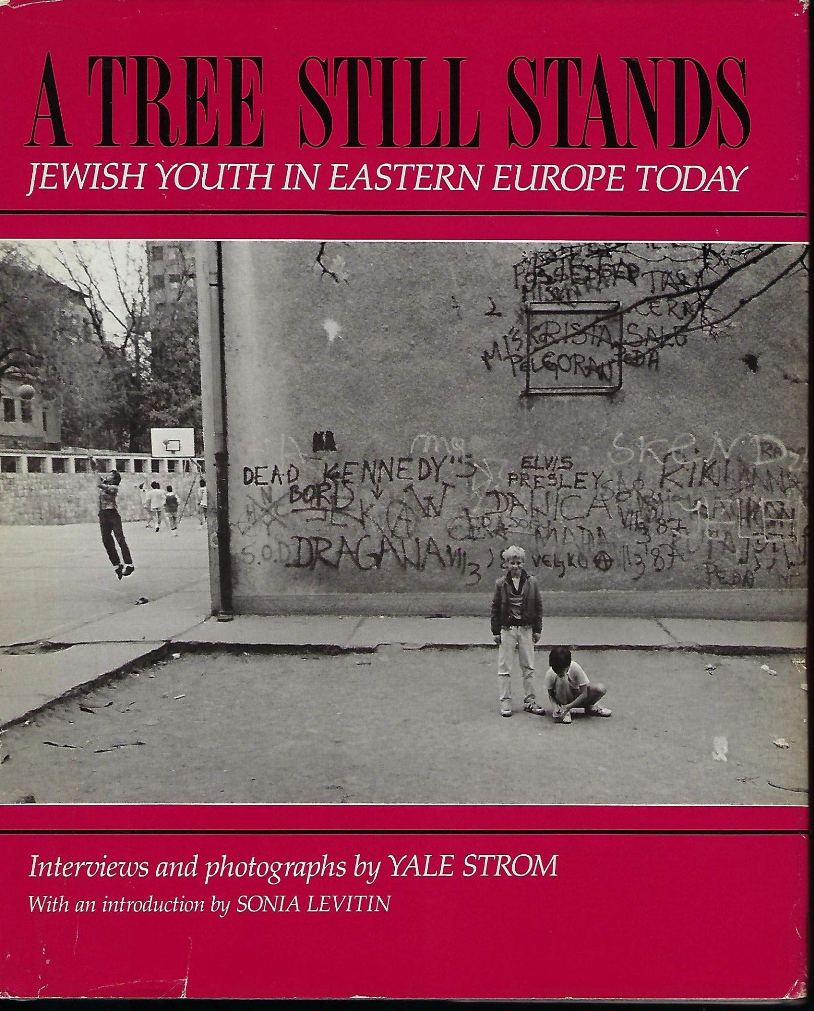 A Tree Still Stands: Jewish Youth In Eastern Europe Today,Used