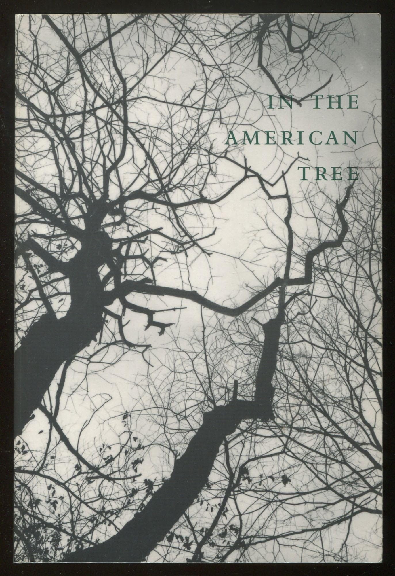 IN THE AMERICAN TREE,Used
