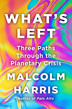 What s Left: Three Paths Through the Planetary Crisis