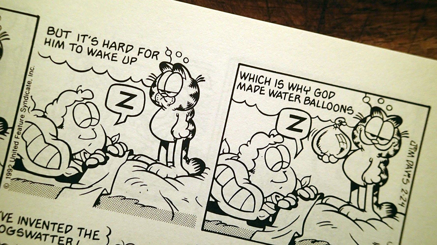 Garfield Takes His Licks,Used