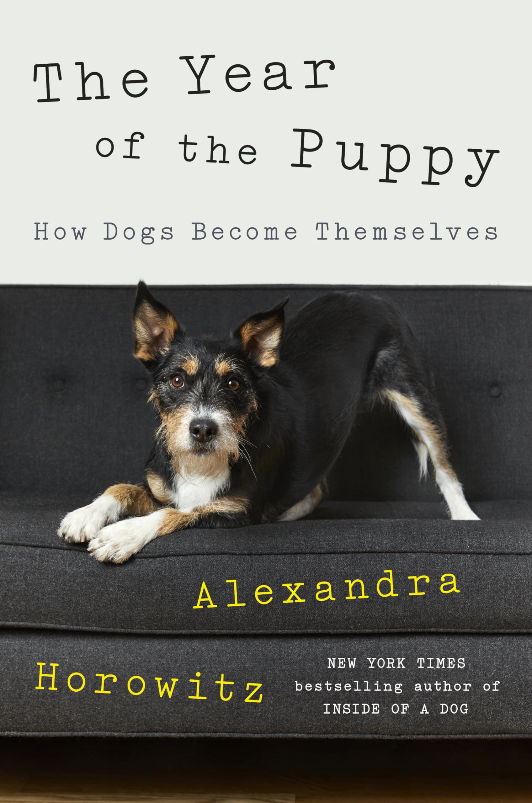 The Year Of The Puppy: How Dogs Become Themselves