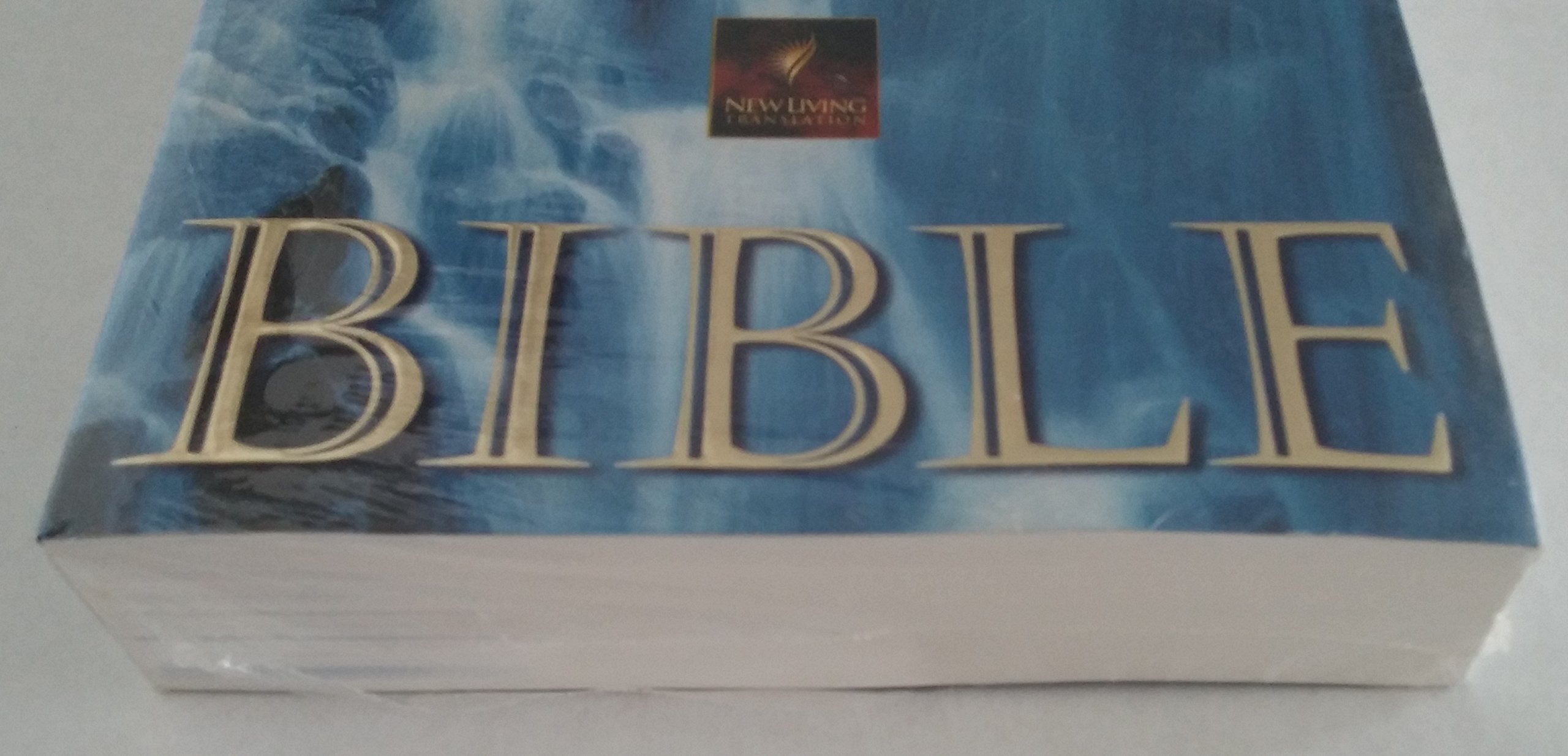 Holy Spirit Encounter Bible: Experience the Spirit's Presence and Power in Your Life,Used