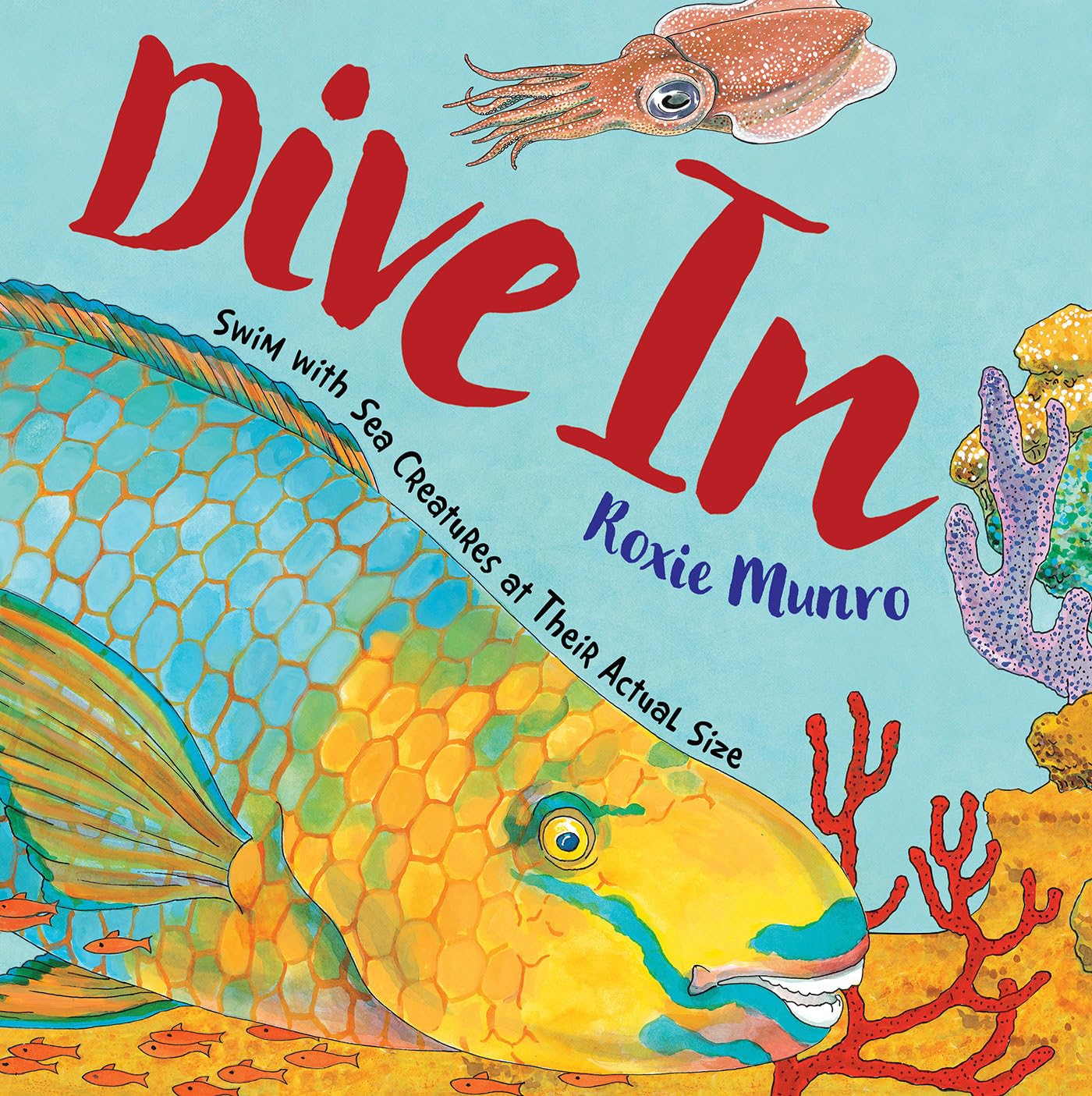 Dive In: Swim with Sea Creatures at Their Actual Size,Used