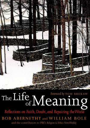 The Life of Meaning: Reflections on Faith, Doubt, and Repairing the World,Used