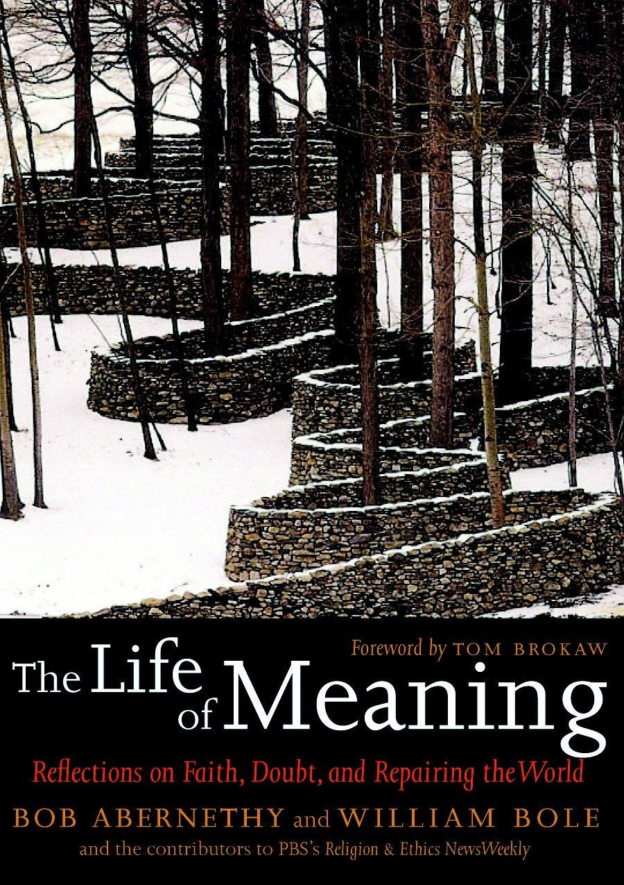 The Life of Meaning: Reflections on Faith, Doubt, and Repairing the World,Used