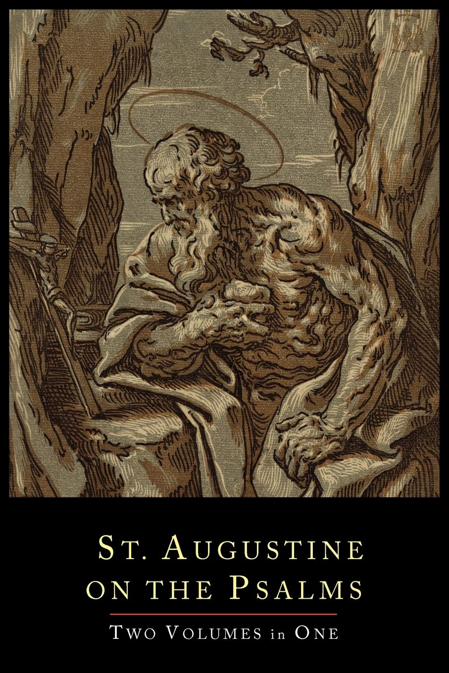 St. Augustine on the PsalmsTwo Volume Set,Used