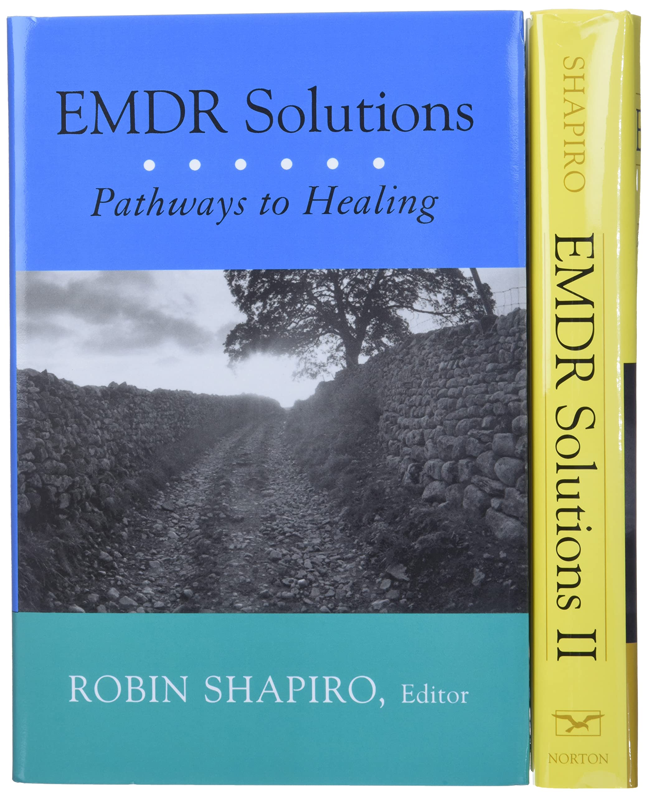Emdr Solutions I And Ii Complete Set