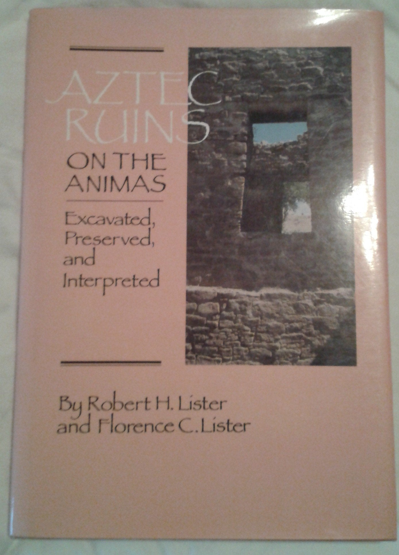 Aztec Ruins on the Animas: Excavated, Preserved, and Interpreted,Used